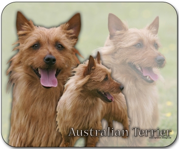 Mousepad Australian Terrier #1