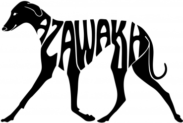 Silhouetten-Schriftzug Azawakh