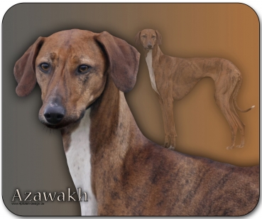 Mousepad Azawakh (Tuareg Windhund) #2