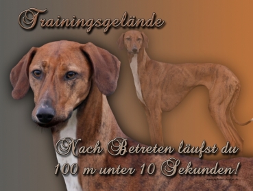 Hundewarnschild Azawakh (Tuareg Windhund) #3