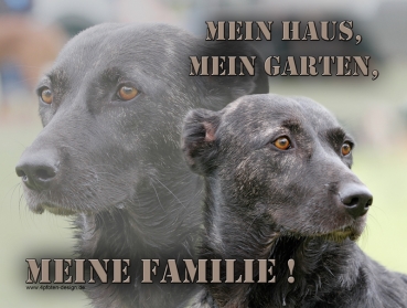 Hundewarnschild Bardino #1