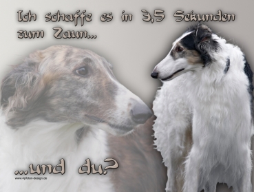 Hundewarnschild Barsoi (Russischer Windhund) #2