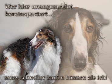 Hundewarnschild Barsoi (Russischer Windhund) #5