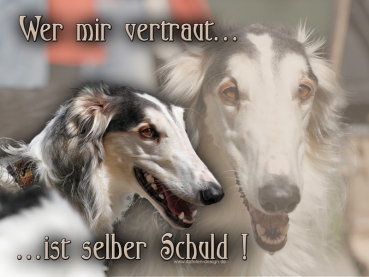 Hundewarnschild Barsoi (Russischer Windhund) #6