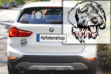 Preview: Autoaufkleber "Basset Fauve de Bretagne" Kopf