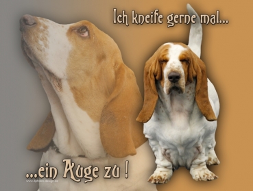 Hundewarnschild Basset Hound #2