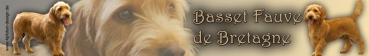 Autoaufkleber Basset Fauve de Bretagne