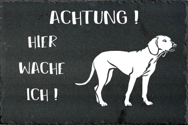 Schieferplatte Bayerischer Gebirgsschweißhund