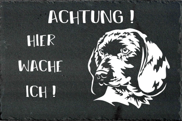 Schieferplatte Bayerischer Gebirgsschweißhund