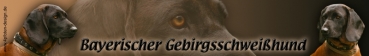 Aufkleber Bayerischer Gebirgsschweißhund #1