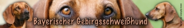 Aufkleber Bayerischer Gebirgsschweißhund #2