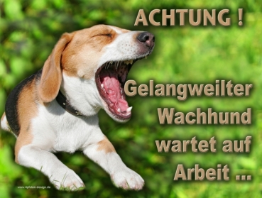 Hundewarnschild Beagle #2