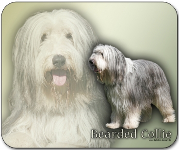 Mousepad Bearded Collie #1