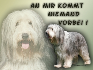 Hundewarnschild Bearded Collie #1