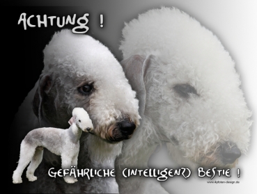 Hundewarnschild Bedlington Terrier #1