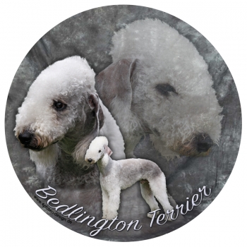 Aufkleber Bedlington Terrier, rund
