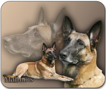 Mousepad Belgischer Schäferhund (Malinois) #1