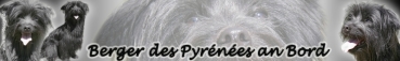 Aufkleber Pyrénéenschäferhund (Berger des Pyrénées) #1