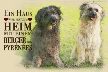 Metallschild Berger des Pyrenees