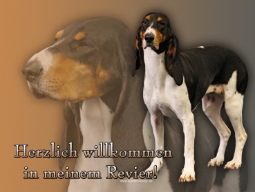 Hundewarnschild Berner Laufhund #1