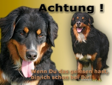 Hundewarnschild Berner Sennenhund #2