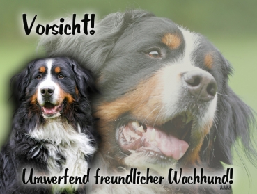 Hundewarnschild Berner Sennenhund #9