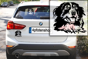 Autoaufkleber "Berner Sennenhund" Kopf