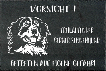 Schieferplatte Berner Sennenhund