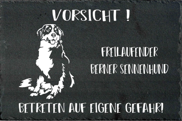 Schieferplatte Berner Sennenhund