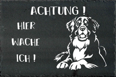 Schieferplatte Berner Sennenhund