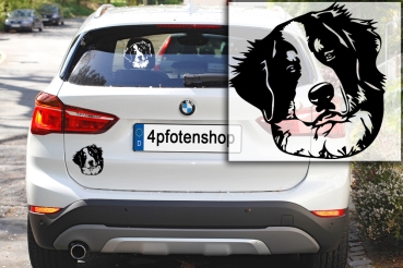 Autoaufkleber "Berner Sennenhund" Kopf