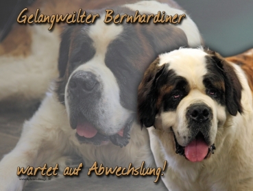 Hundewarnschild Bernhardiner #2