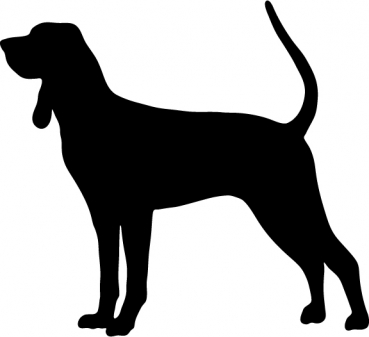 Black and Tan Coonhound stehend Silhouette