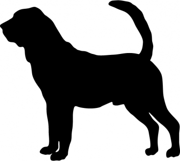 Bloodhound stehend Silhouette