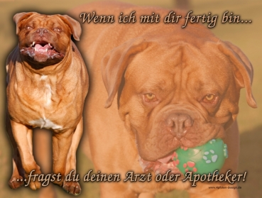 Hundewarnschild Bordeauxdogge #1