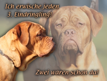 Hundewarnschild Bordeauxdogge #3