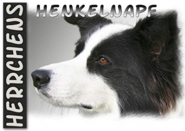 Fototasse Border Collie Herrchen/Frauchen