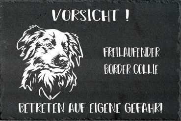 Schieferplatte Border Collie