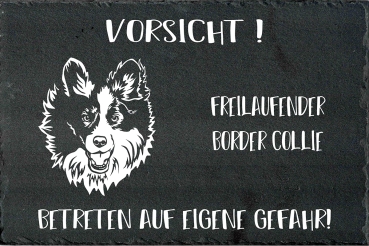 Schieferplatte Border Collie