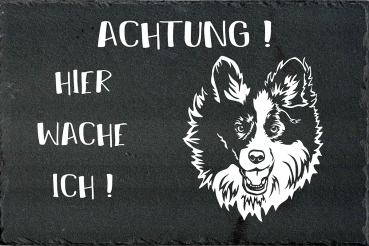 Schieferplatte Border Collie