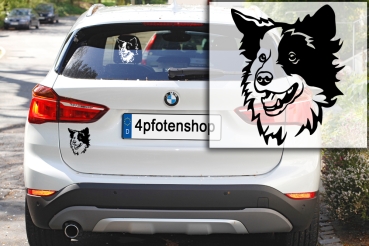 Autoaufkleber "Border Collie" Kopf