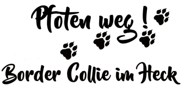 Autoaufkleber Border Collie