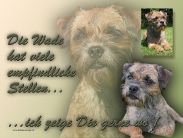 Hundewarnschild Border Terrier #1