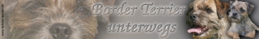 Autoaufkleber Border Terrier