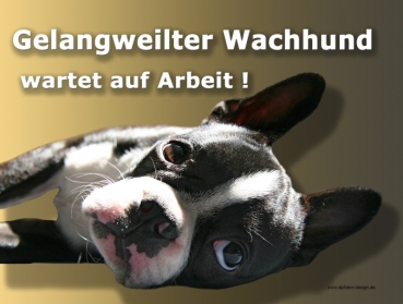 Hundewarnschild Boston Terrier #2