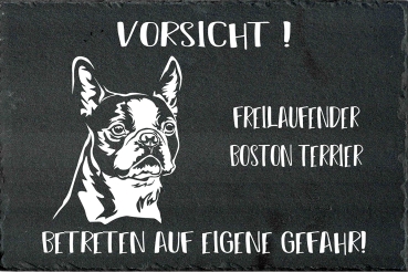 Schieferplatte Boston Terrier