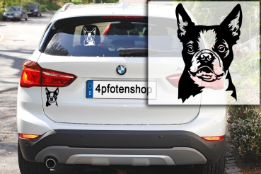 Autoaufkleber "Boston Terrier" Kopf