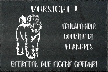 Schieferplatte Bouvier de Flandres