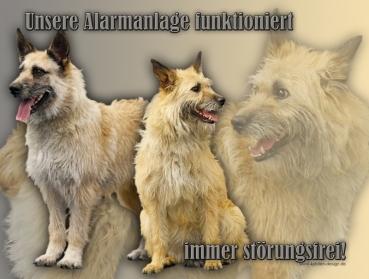 Hundewarnschild Bouvier des Ardennes (Ardennen-Treibhund) #1