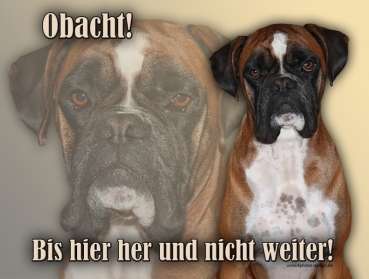 Hundewarnschild Boxer #6